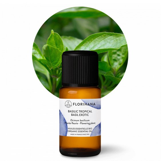 Éterický olej Bazalka tropická BIO 15g