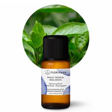 Éterický olej Bazalka tropická BIO 15g (16,04ml)