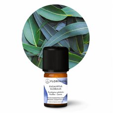 Éterický olej Eukalyptus globulus BIO