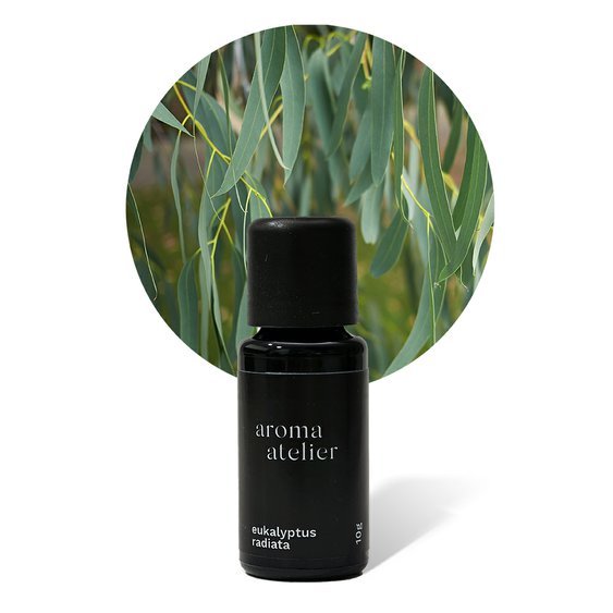 Éterický olej Eukalyptus radiata-10g