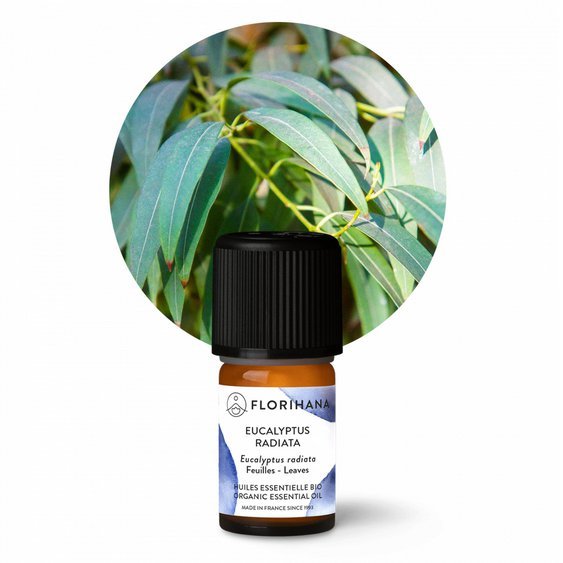 Éterický olej Eukalyptus radiata BIO 5g