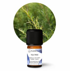 Éterický olej Tea tree (čajovník) BIO