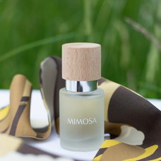 Mimosa parfém