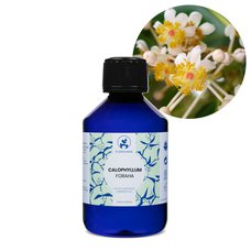 Tamanu olej BIO 200ml