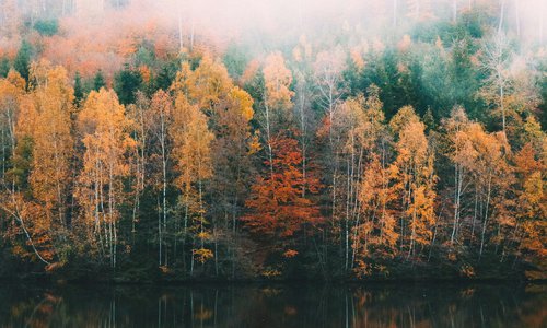 Vše co jste chtěli vědět o podzimní aromaterapii